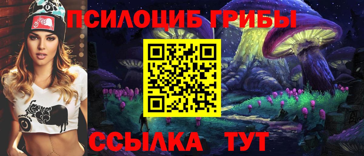 Галлюциногенные грибы Psilocybe  купить наркоту  Великие Луки  Вход с VPN 